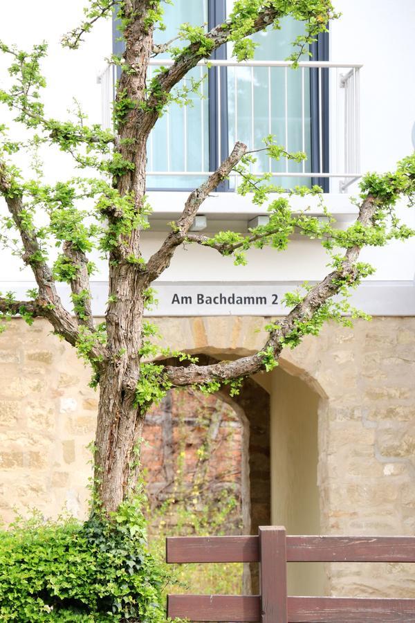 Alte Stadtmauer - Apartment Sinsheim Exterior foto